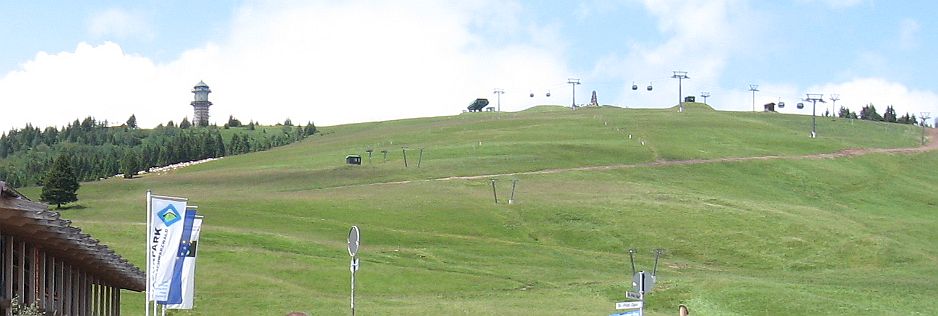 2008-Saksa-Feldberg-rinne.jpg