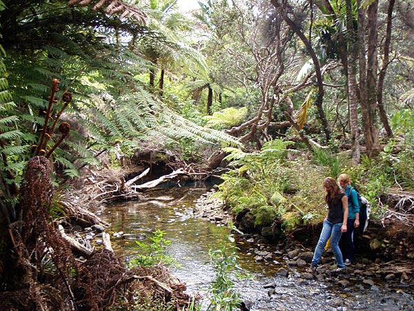 Saarik&auml;vely&auml;