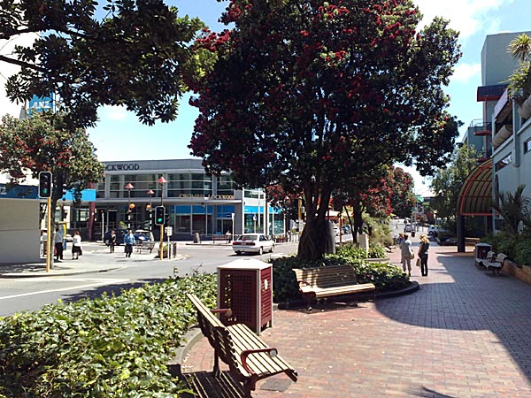 2009-NZ-Pohjoissaari-NP-keskustaa.jpg