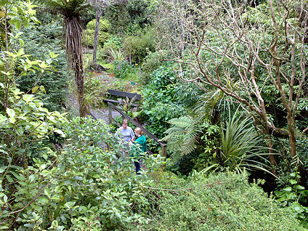 2009-NZ-Pohjoissaari-Rhododendron-Trust-Irma-ja-Laura.jpg