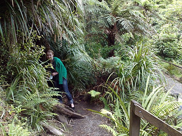 2009-NZ-Pohjoissaari-Rhododendron-Trust-Laura.jpg