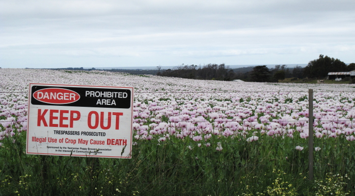 Sponsored by Tasmanian Poppy Grovers Association..