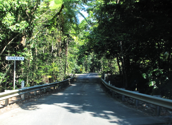 Matkalla Cape Tribulationiin