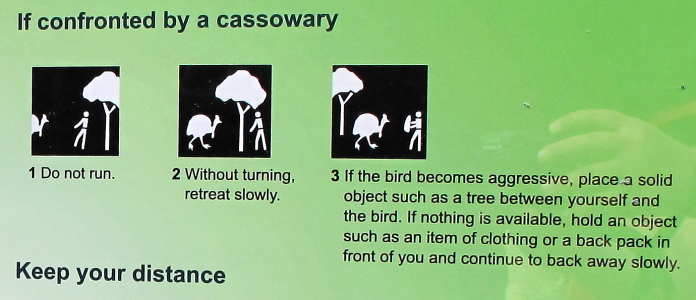 Mit&auml; tehd&auml; Cassowarin l&auml;hestyess&auml;