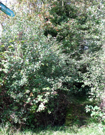Public Footpath